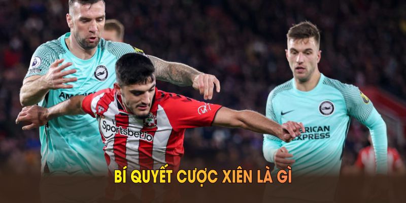 Bí quyết cược xiên là gì tại nền tảng TK88