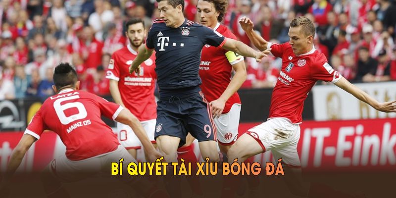 Bí quyết tài xỉu bóng đá giúp tăng cơ hội thắng