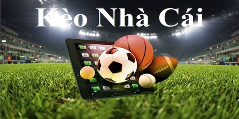 Những lưu ý khi soi kèo nhà cái TK88 bạn cần nhớ