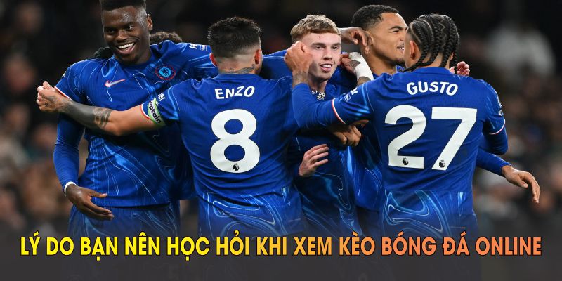 Lý do bạn nên học hỏi khi xem kèo bóng đá online