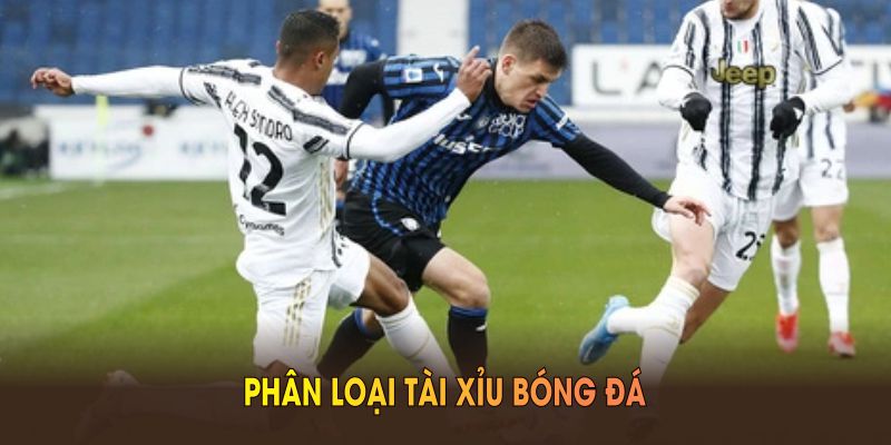 Phân loại tài xỉu bóng đá tại cổng game TK88