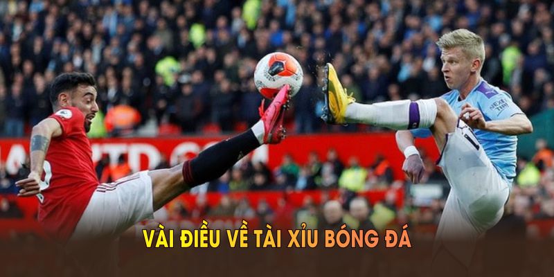 Vài điều về tài xỉu bóng đá trên sân chơi TK88 nên biết