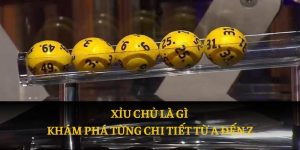 Xỉu Chủ Là Gì
